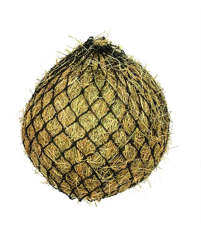 EQUISENTIAL SMALL MESH HAYNET - Black