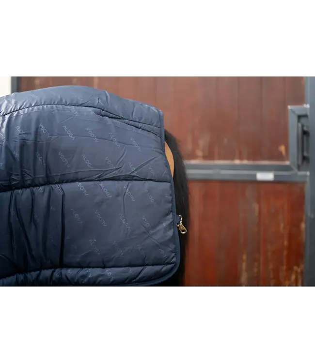ALOGA PONY LINER 200g - Navy