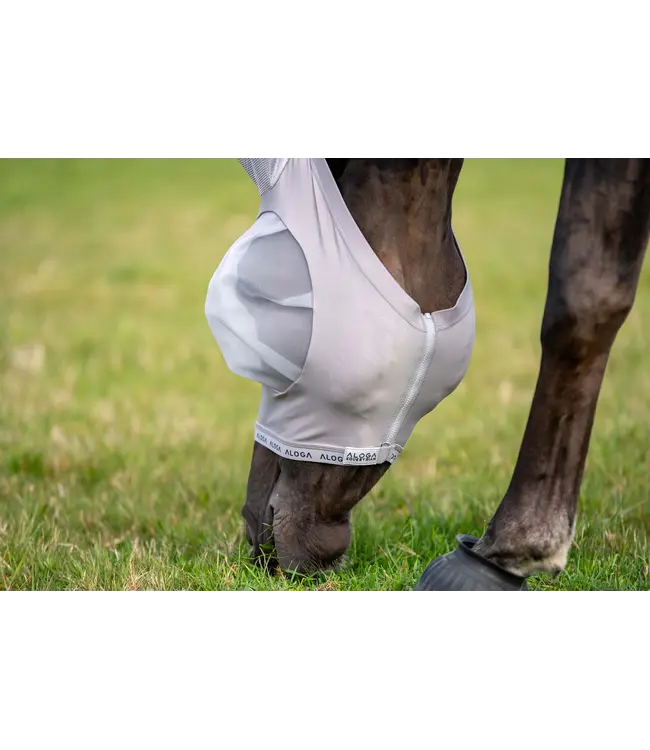 ALOGA FLY MASK - Grey