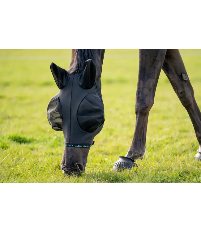 ALOGA FLY MASK - Black