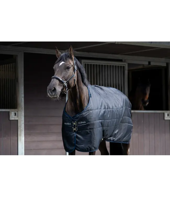ALOGA STABLE 2.0 150g - Black & Navy