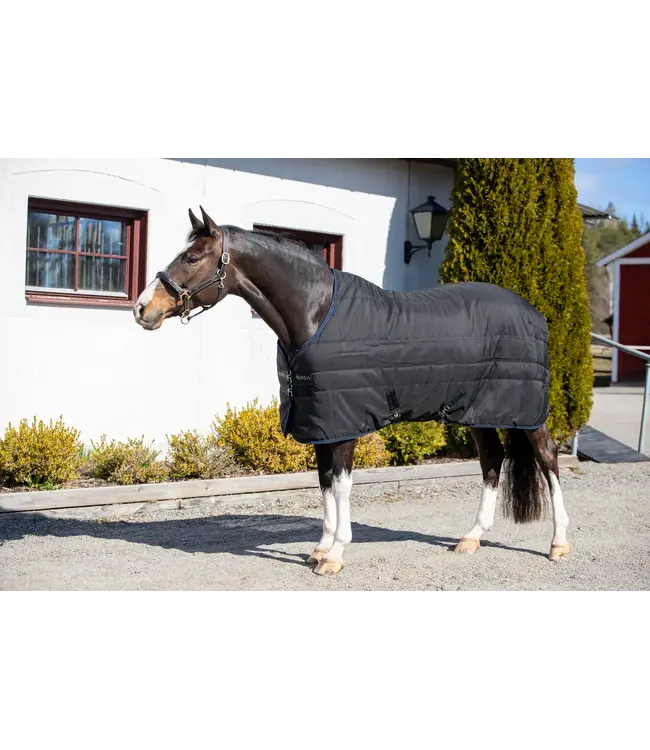 ALOGA PRO STABLE 200g - Navy & Silver