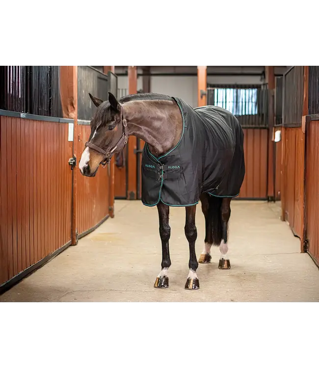 ALOGA PRO STABLE 0g - Navy & Silver