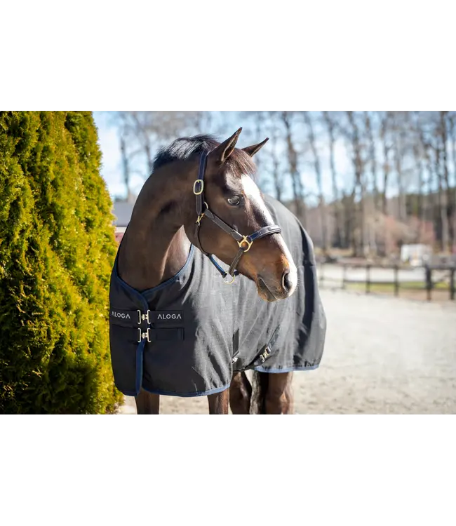 ALOGA PRO STABLE 0g - Navy & Silver