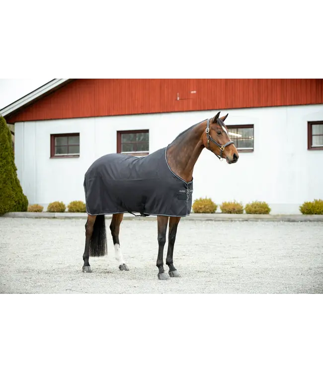 ALOGA PRO STABLE 0g - Navy & Silver