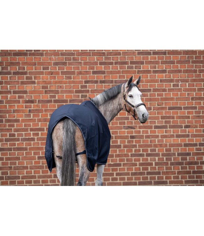 ALOGA PRO STABLE 0g - Navy & Silver