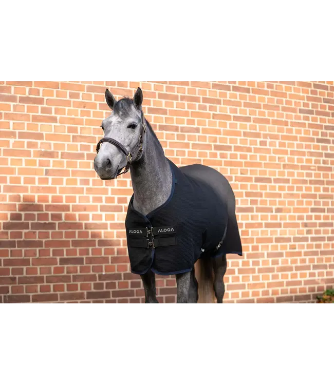 ALOGA PONY WAFFLE COOLER - Black & Navy