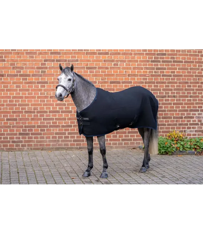 ALOGA PONY WAFFLE COOLER - Black & Navy