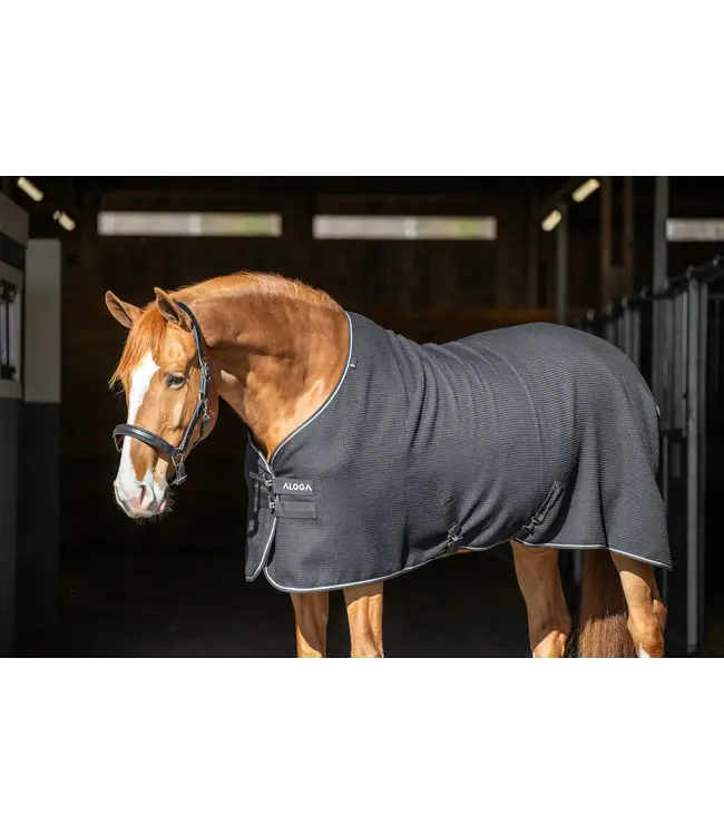 ALOGA WAFFLE COOLER - Navy & Silver