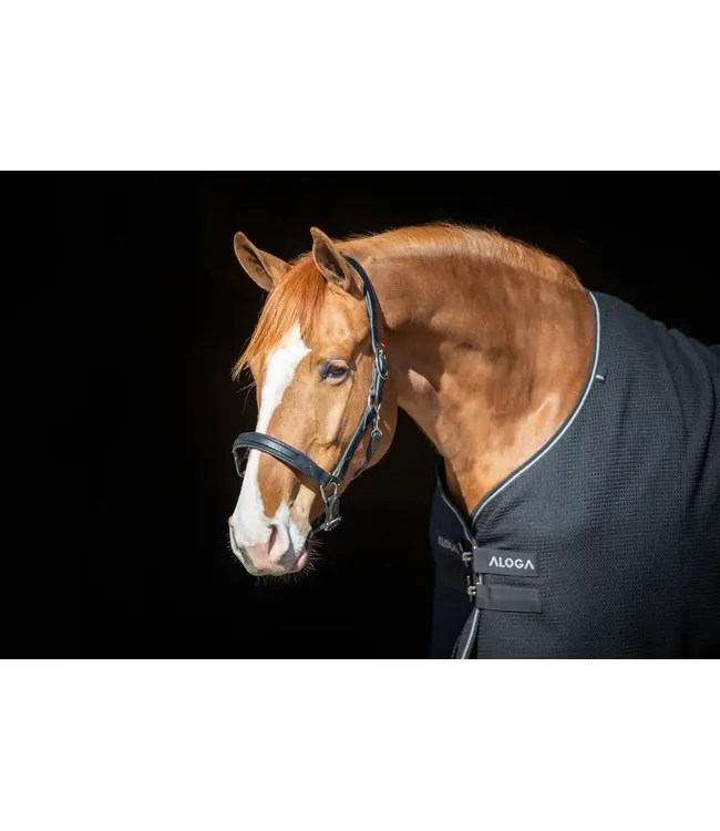 ALOGA WAFFLE COOLER - Navy & Silver