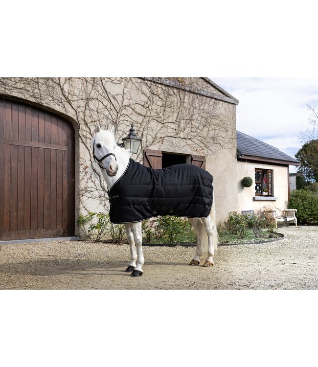 ALOGA PONY PRO STABLE 200g - Black & Silver