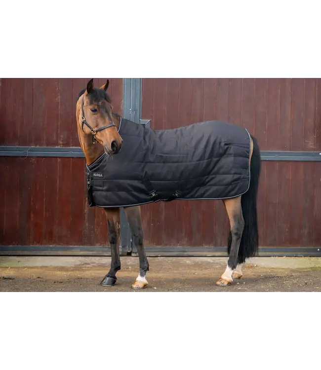 ALOGA PONY PRO STABLE 0g - Black & Silver