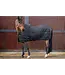 Aloga ALOGA PONY PRO STABLE 0g - Black & Silver