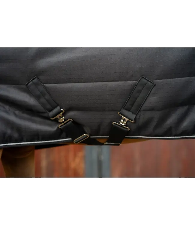 ALOGA PONY PRO STABLE 0g - Black & Silver