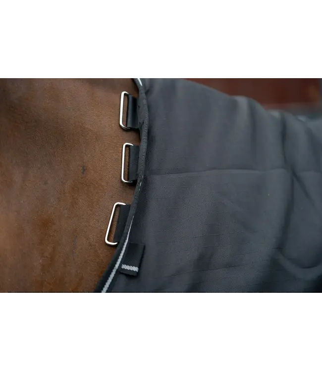 ALOGA PONY PRO STABLE 0g - Black & Silver
