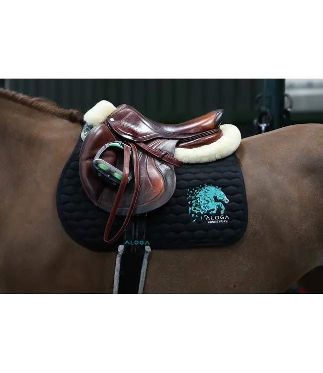 ALOGA JUMPING SADDLE PAD with Logo - Navy & Silver