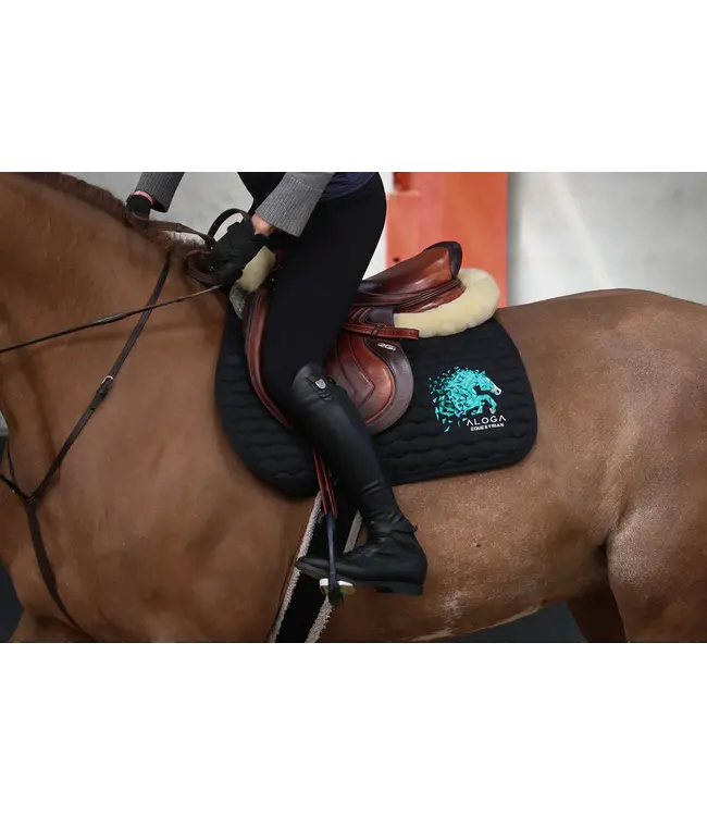 ALOGA JUMPING SADDLE PAD with Logo - Navy & Silver