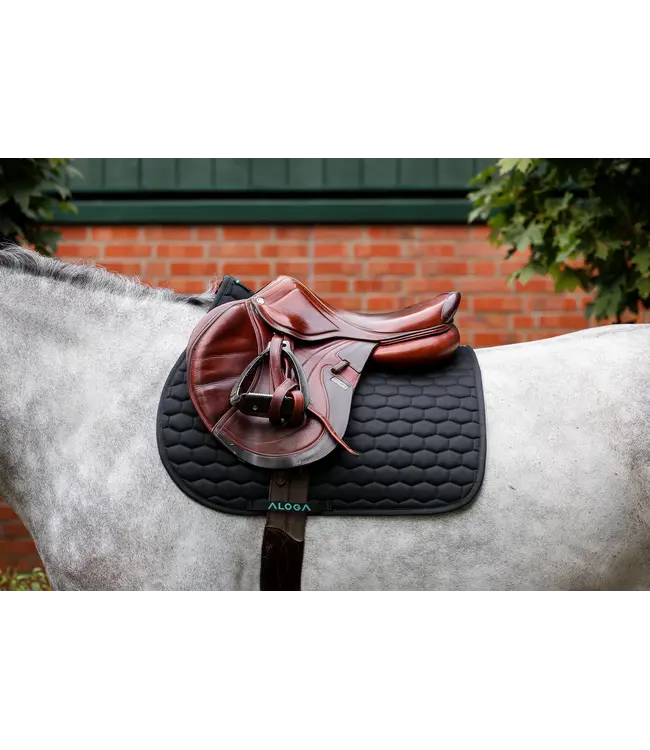 ALOGA JUMPING SADDLE PAD - Black & Mint