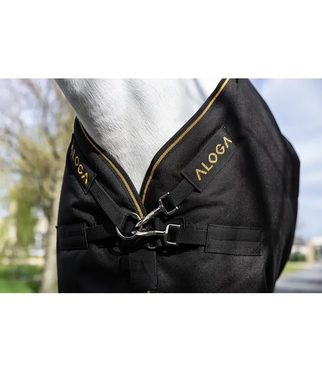 ALOGA PONY PRO TURNOUT 200g & HOOD - Black & Orange