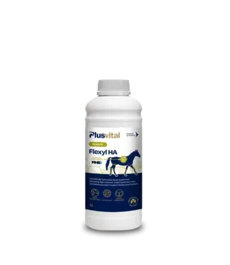 Plusvital PLUSVITAL FLEXYL-HA