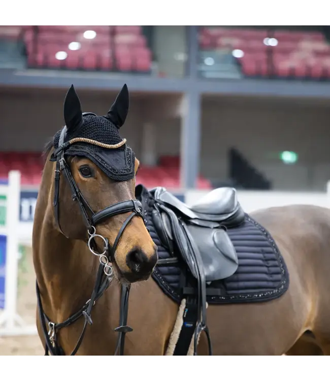 SANDSTORM SPARKLE SADDLE PAD GP - Black