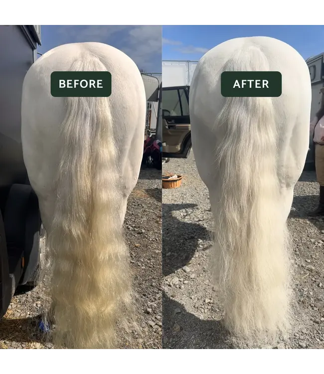 GLAS EQUINE WHITENING POWDER - 500g