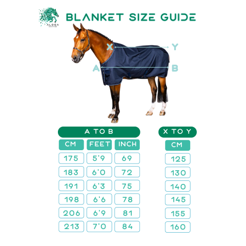 Aloga Blanket Size Guide