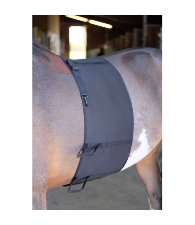 NORTON PROTECTIVE BELLY BAND - Black