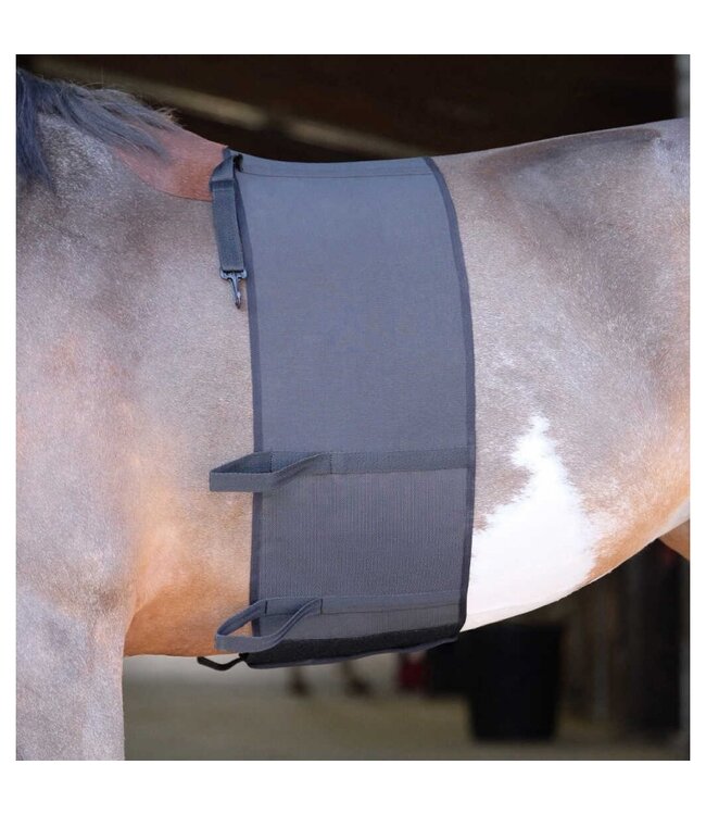 NORTON PROTECTIVE BELLY BAND - Black
