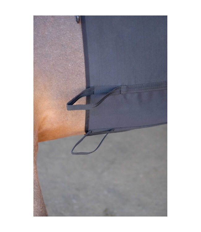 NORTON PROTECTIVE BELLY BAND - Black