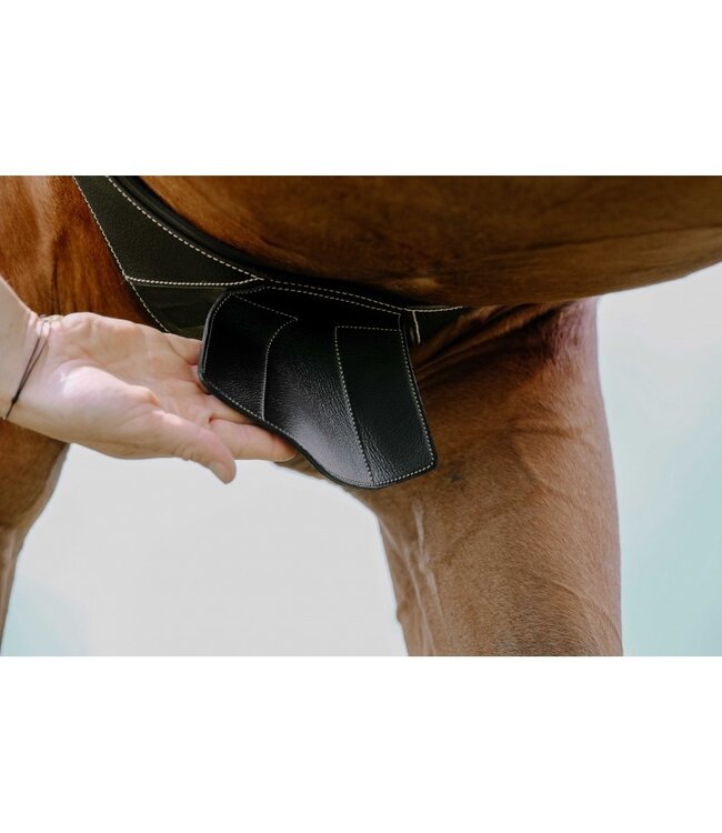 NORTON PRO MAGNETIC ANATOMICAL GIRTH - Black