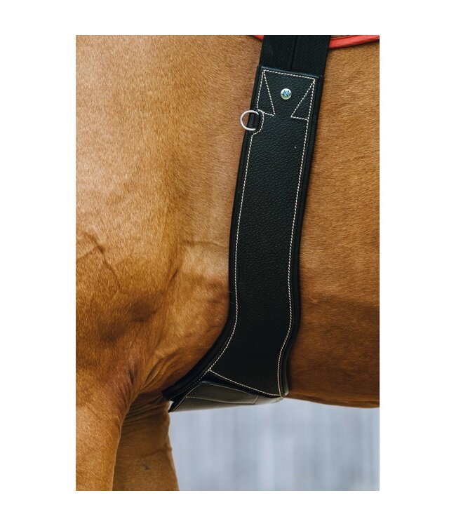 NORTON PRO MAGNETIC ANATOMICAL GIRTH - Black