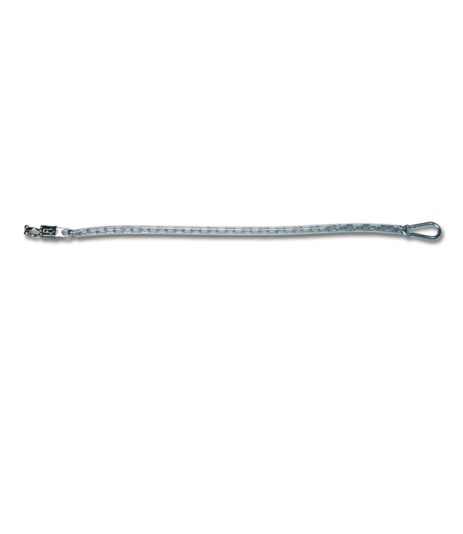 WALDHAUSEN STALL CHAIN