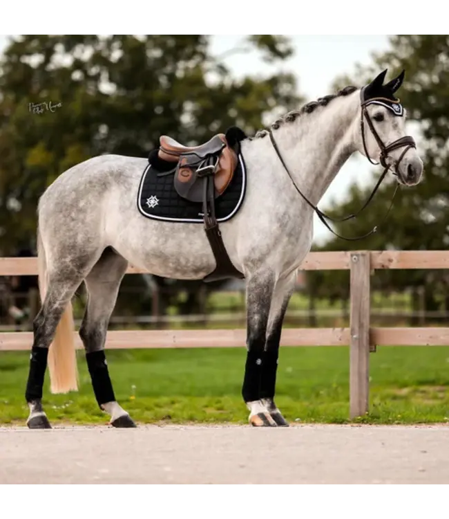 DAPPLE GP SADDLE PAD - Black/White