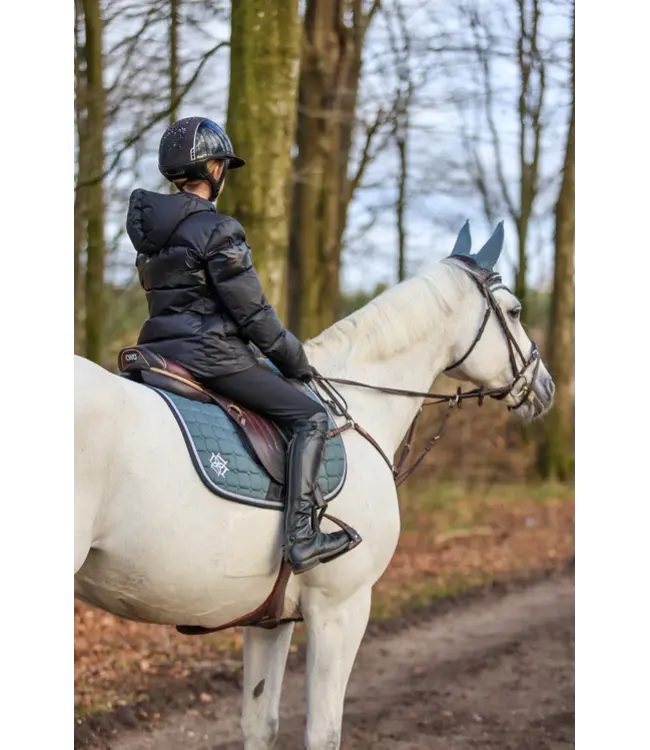 DAPPLE GP SADDLE PAD - Pine