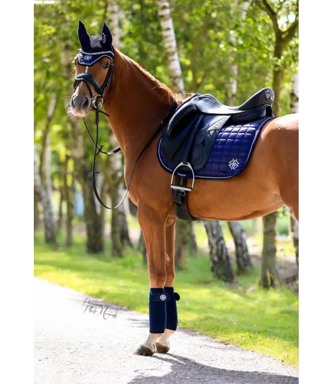 DAPPLE FLY VEIL - Oxford Blue Diamonte