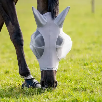 Fly Sheets & Fly Masks