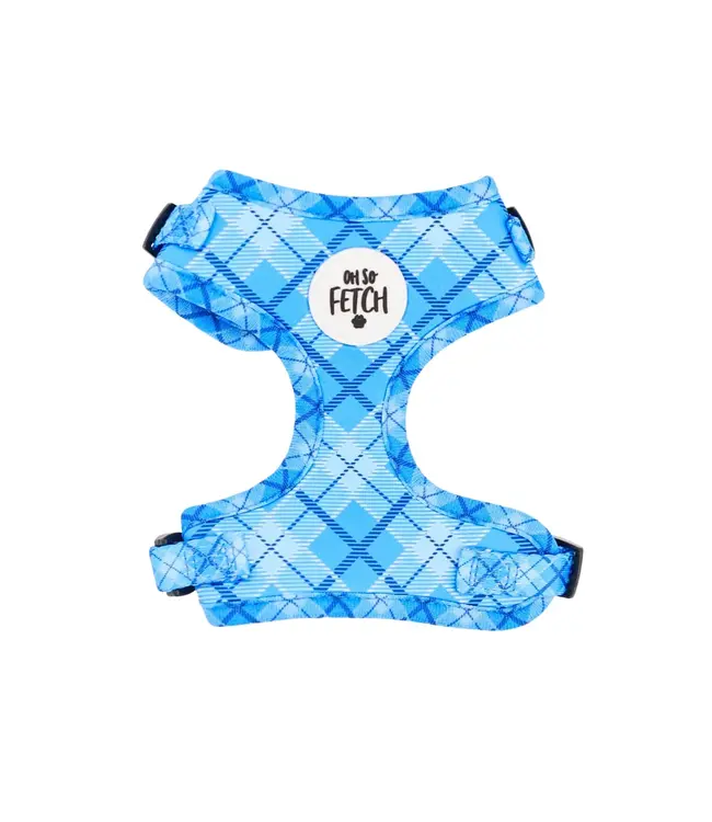 OH SO FETCH PADDED HARNESS - Country Pup