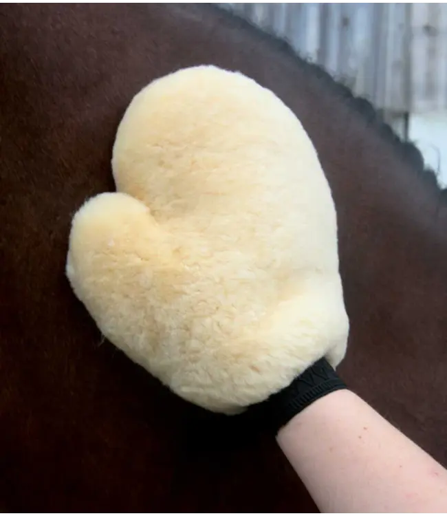 LAMBSKIN GROOMING GLOVE