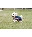 Mackey MACKEY BUSTER 600D DOG RUG - Navy/Burgundy