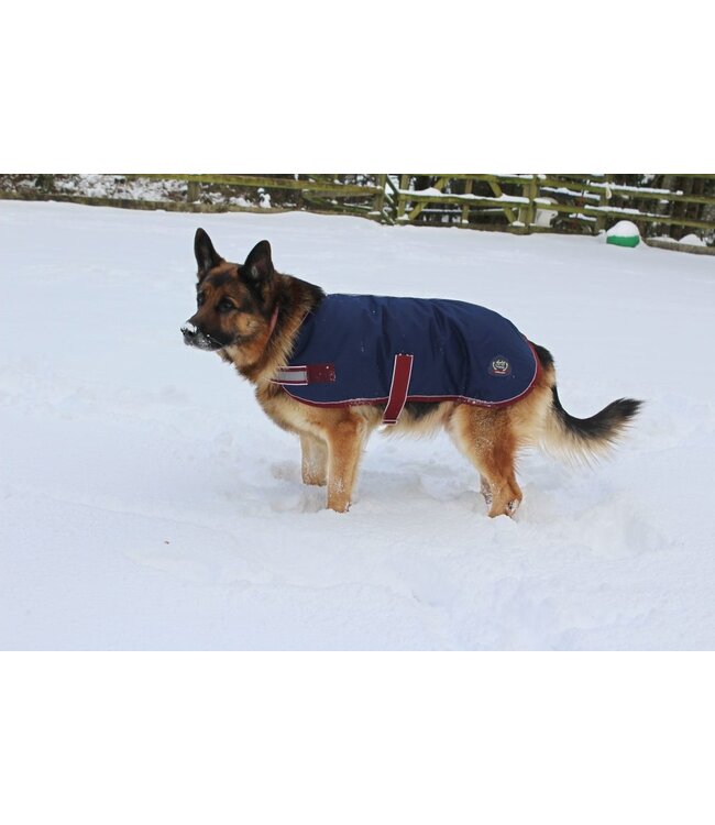 MACKEY BUSTER 600D DOG RUG - Navy/Burgundy