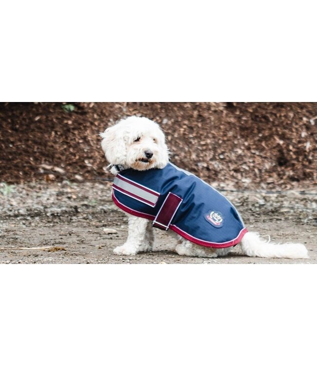 MACKEY BUSTER 600D DOG RUG - Navy/Burgundy