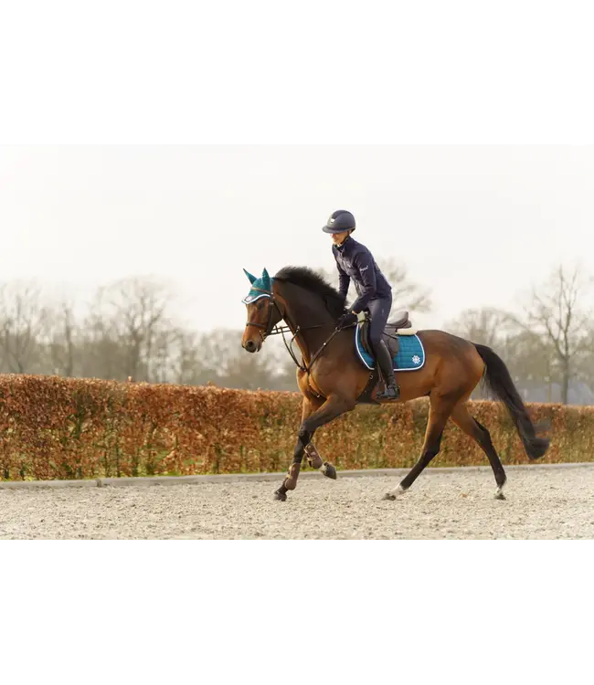 DAPPLE GP SADDLE PAD - Teal