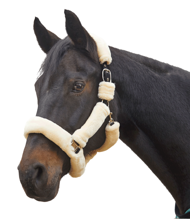 WALDHAUSEN COZY HALTER - Cream