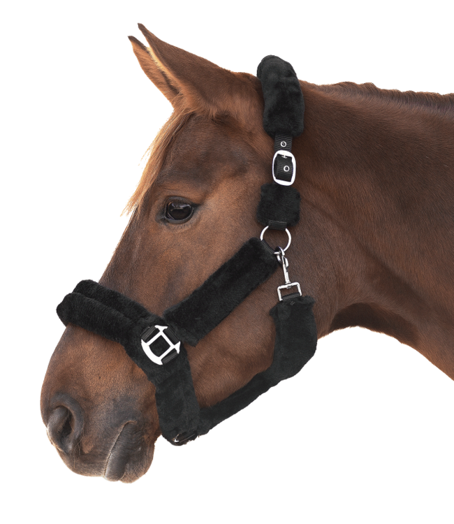 WALDHAUSEN COZY HALTER - Black