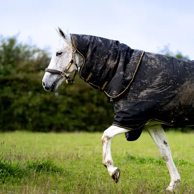 Turnout Rugs