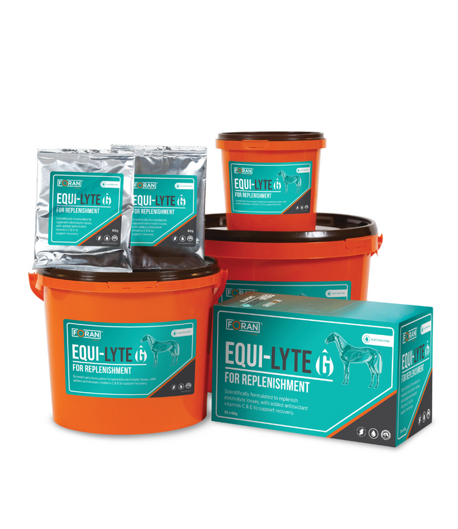FORAN'S EQUI-LYTE G