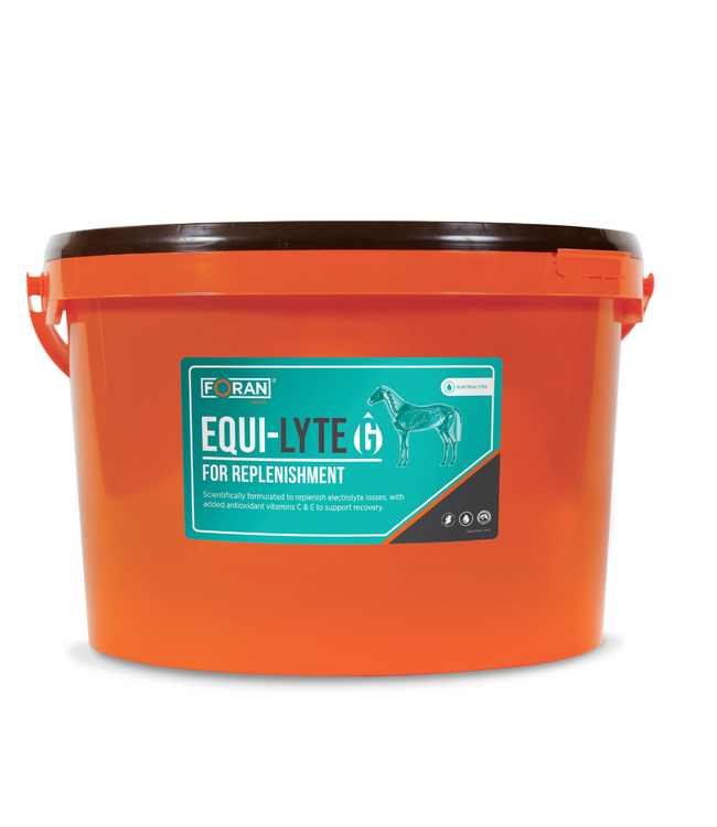 FORAN'S EQUI-LYTE G