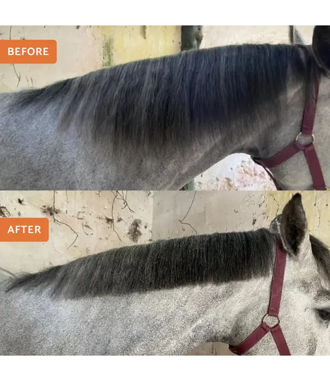 GLAS EQUINE WOODEN MANE & TAIL THINNING KNIFE