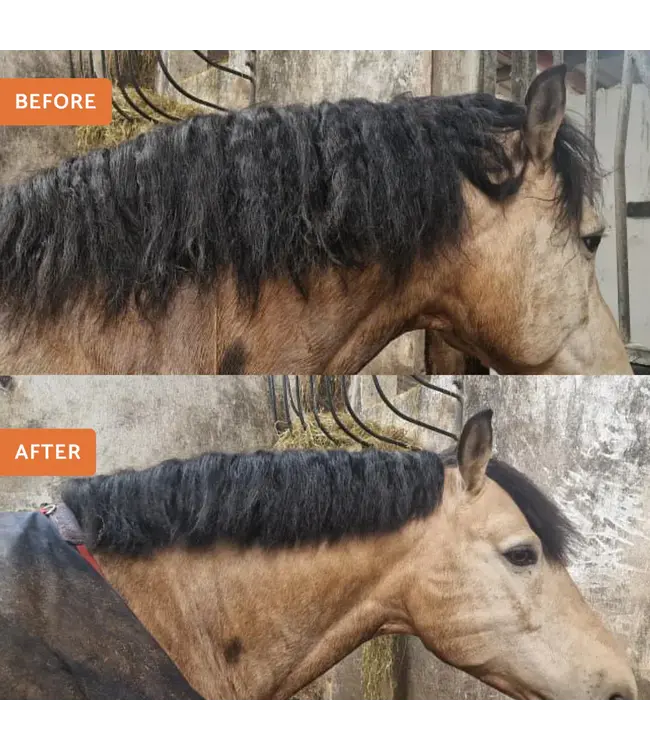 GLAS EQUINE WOODEN MANE & TAIL THINNING KNIFE